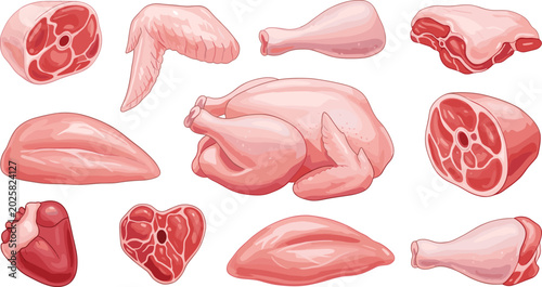 Photos Assorted raw butcher meat cuts vector illustration collection with fresh beef steak pork loin and chicken carcass for grocery store banner design