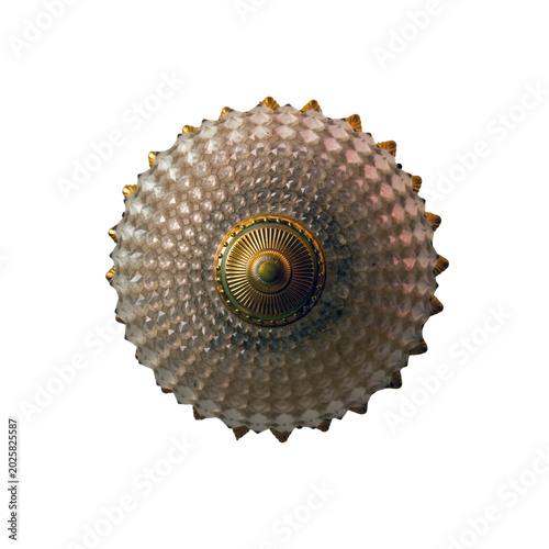 Decorative antique glass light fixture element on transparent background