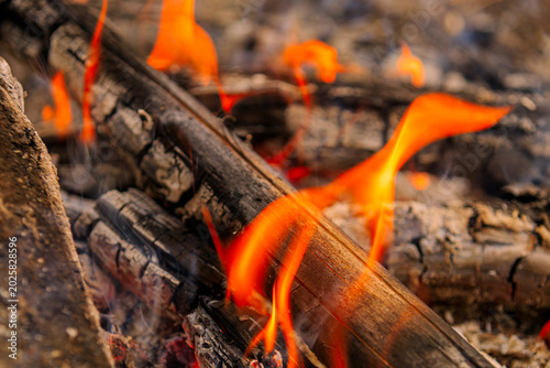 Fotografi Campfire burnt down to make a great cooking fire