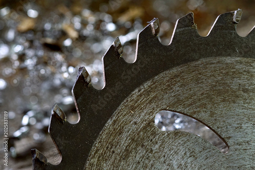 Konstfotografi Close-up of a sharp tungsten carbide tipped circular saw blade in a workshop environment