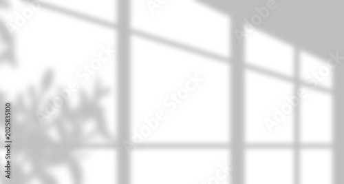 window light shadow silhouette with leaves branch tree shadows visualizing overlay effect for background design with lighting shade effects