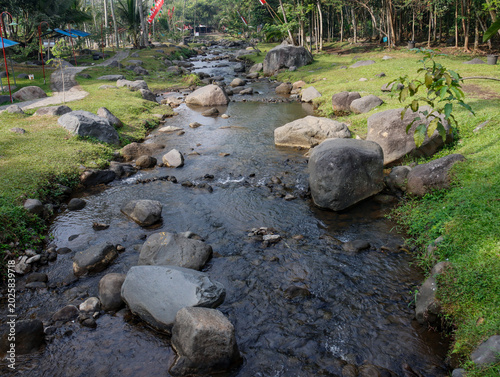 river in the forest