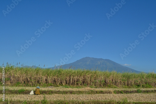 landscape with mountains and blue sky