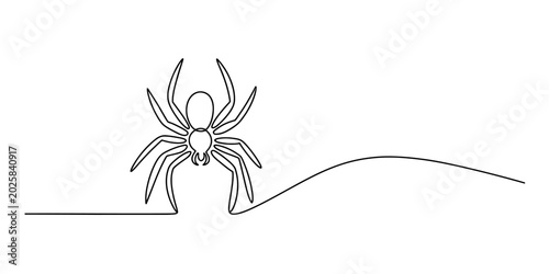 Photos Single line drawing of a spider with eight legs, simple art style