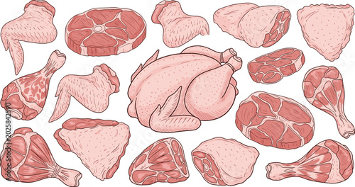 Foto Detailed vintage sketch raw poultry vector illustration collection with whole ch