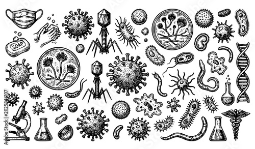 Photography Microbiology and virology illustration set viruses bacteria hygiene and research