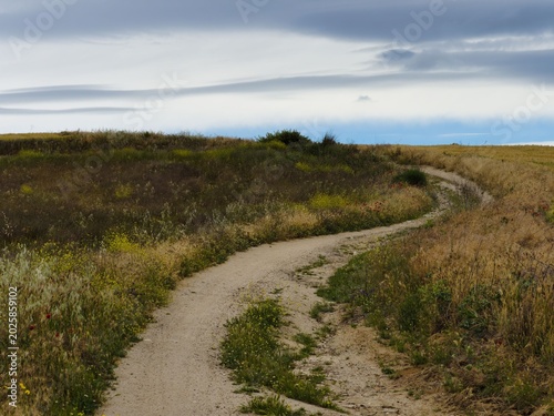 Winding path through grassy landscape under cloudy sky on quiet afternoon