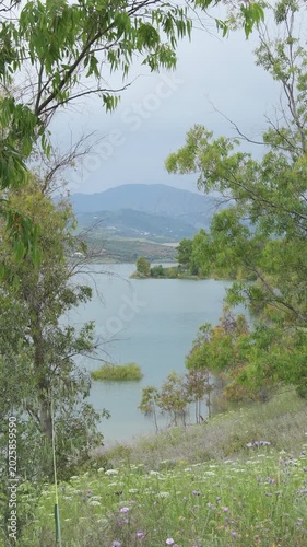 Trees and plants in the shore of a lake. 4K Vertical