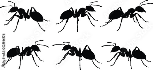 Tableau sur toile Ant stencil templates