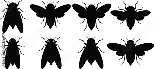 Fotografía Loud Cicada silhouettes collection