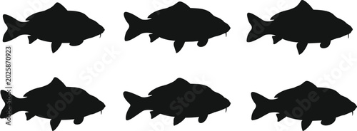 Foto Carp silhouettes collection