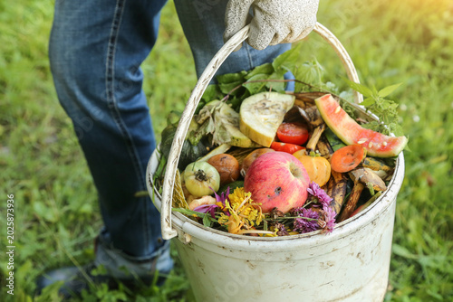 Farmer with food organic waste, scrap of vegetables and fruits with grass in bucket for compost closeup. Zero waste, composting concept