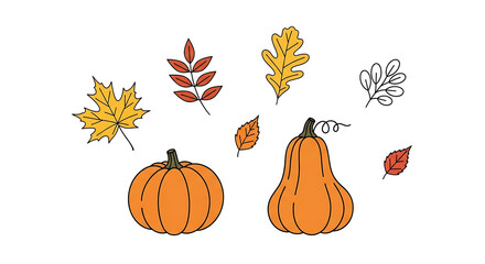 Set of autumn season pumpkin and fall leaves drawings with illustration vegetable thanksgiving november decoration seasonal
