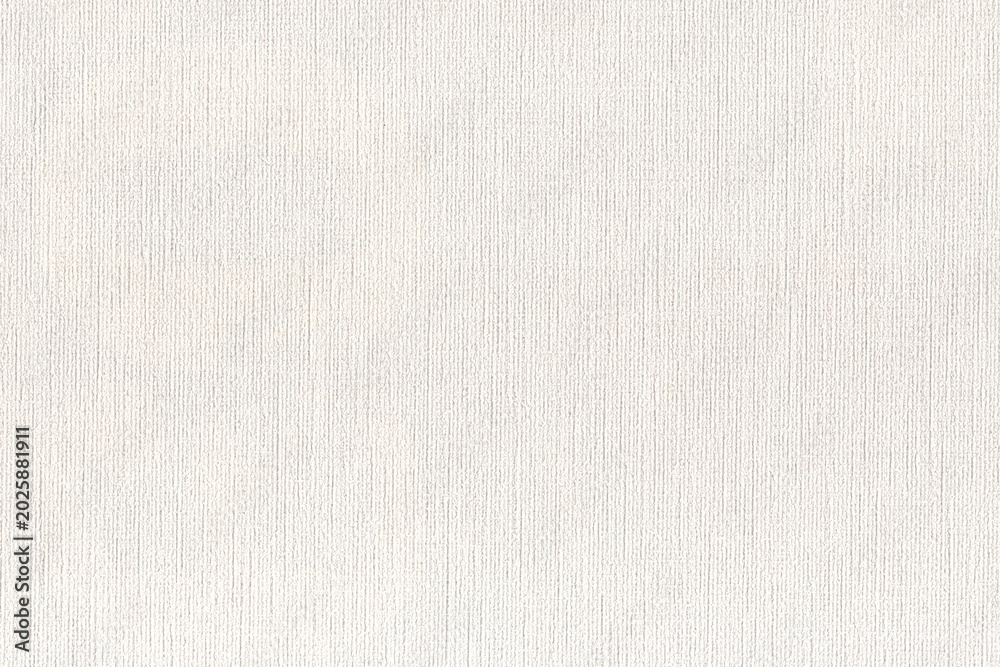 Fototapeta premium White textured background with subtle vertical pattern and modern minimalist style.