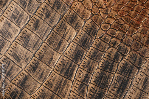 Tableau sur toile Vintage brown crocodile leather texture with embossed reptile scales and rough m
