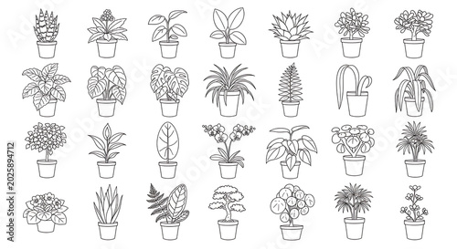 Collection of hand drawn potted plants in various styles with potted plant home decor botanical greenery illustration decoration interior handcrafted houseplant container