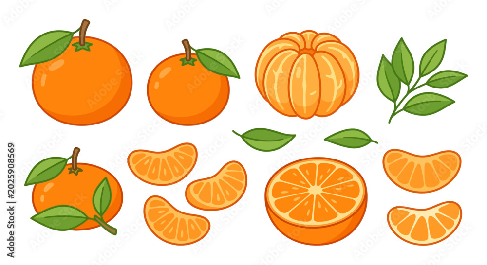 Obraz premium orange fruit set vector illustration with leaves and slices
