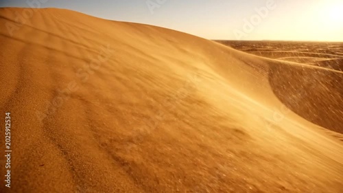 Dynamic Sand Dune Scene in a Desert Landscape