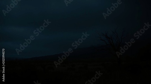 background SET1