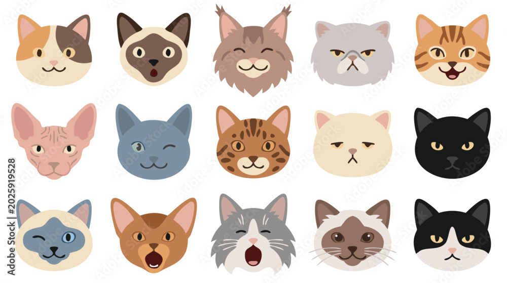 Fototapeta premium Cute Cat Face Expressions Collection, Flat Vector Kitten Breeds Icons, Pet Cat Avatars Set