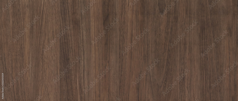 Obraz premium Wood texture background shows a dark walnut timber surface with beautiful natural organic vertical grains