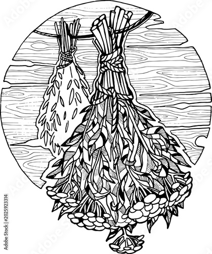 Vector illustration of two bunches of dry herbs hanging on a rope in a round frame.