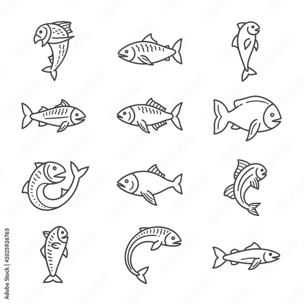 Obraz premium Set of minimalist fish icons isolated on white background