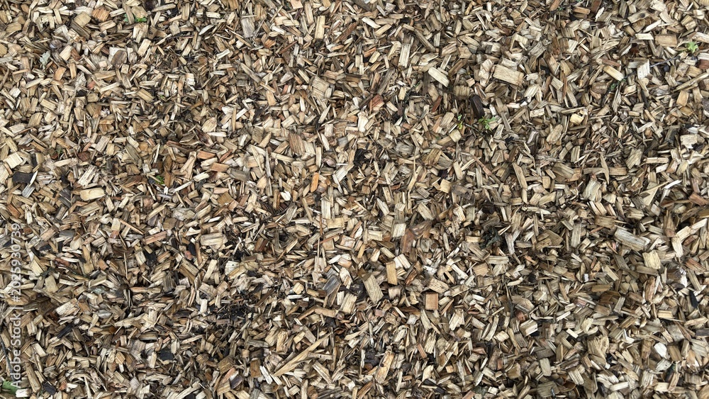 Fototapeta premium Wooden Pellets Forest Ground