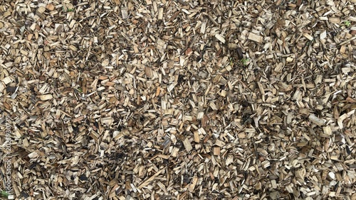 Wooden Pellets Forest Ground