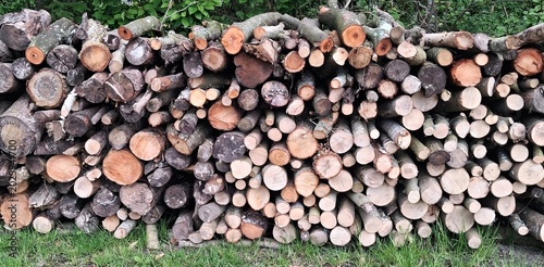 Tableau sur toile Stack of firewood logs