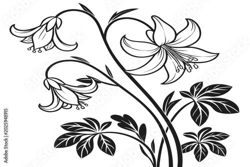 Fotografie coloring page line art the meadow rue flower black vector