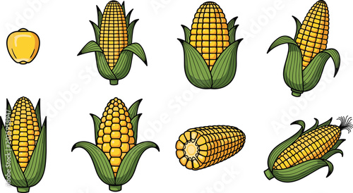 Foto Fresh sweet corn vector design kit featuring yellow maize cobs in green leaf hus