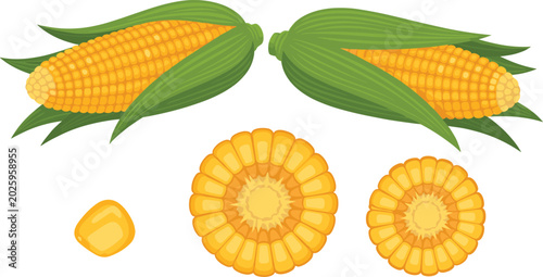 Canvastavla Fresh sweet corn vector design elements set featuring horizontal ripe yellow cob