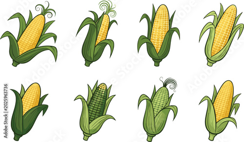 Foto Hand drawn sweet corn cobs vector illustration collection featuring retro engrav