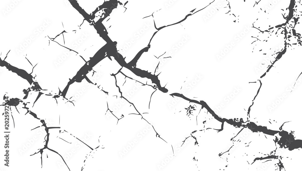 Obraz premium Black and white abstract grunge texture with cracks and fissures