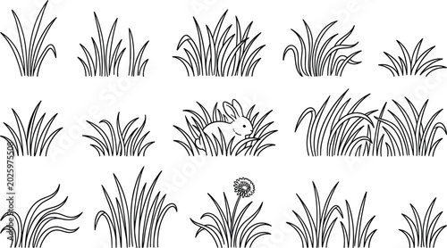 Fotografía Black and white grass tufts outline vector set with hidden rabbit and dandelion