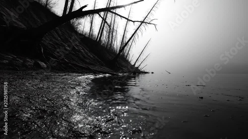 Black and white shot of a shoreline with bare trees and water creating a somber atmospheric scene