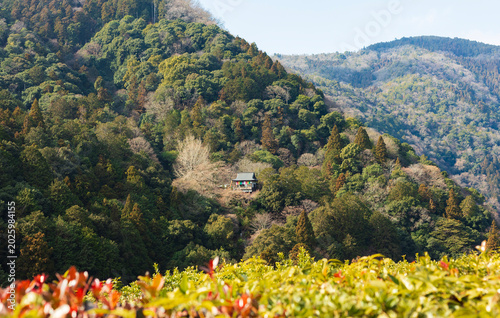 A house is located on a hillside surrounded by tall trees and green plants. The scene shows a clear day with mountains in the background. Nature surrounds this quiet spot