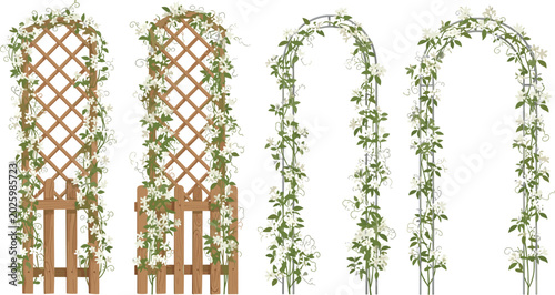 Fotografía Garden trellis and arch vector illustration set with white climbing jasmine flowers isolated on white background