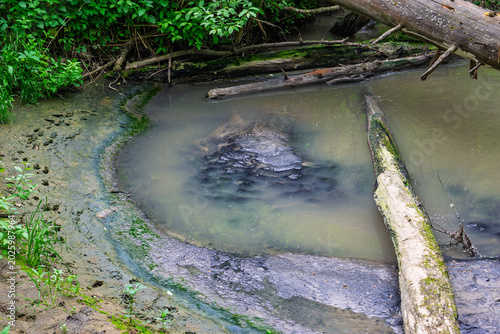 Polluted forest stream contaminated by urban sewage, murky grey water with toxic sludge and rotten logs in a wild woodland landscape, environmental disaster concept