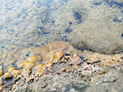 water and rocks