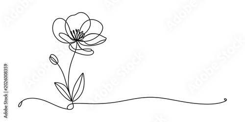 Beautiful single line drawing of a flower with leaves and a bud in a simple minimalist continuous stroke style for elegant artistic decoration Vector, illustration