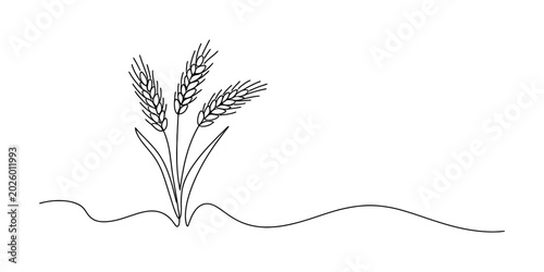 Foto Simple line art drawing of three wheat stalks growing from the ground representi