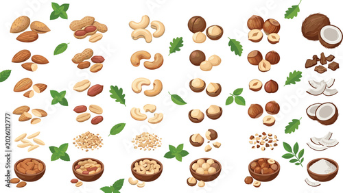 Foto Nut and Coconut Ingredient Illustration Collection Featuring Almond Peanut Cashe