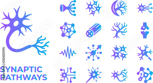 Tableau sur toile Synaptic pathways neuron and brain cell icons for neuroscience and biology science concepts