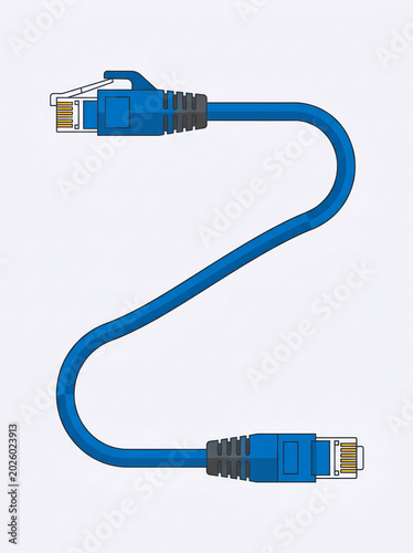 Network Data Cable with RJ45 Connectors