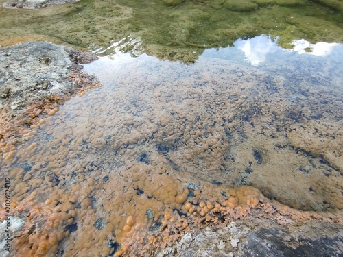 river in the mountains
