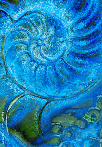 Blue Macro Detail of Fossilized Nautilus Shell Pattern