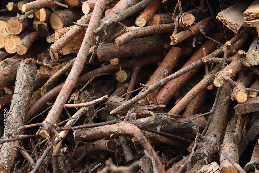 Fototapeta premium Stacked wooden logs and firewood close-up. A pile of firewood prepared for heating. View of logs with annual rings. Rural still life of dry firewood. A pile of dry wooden logs of different sizes