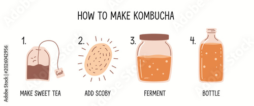 Tableau sur toile Four step of how to make kombucha with tea bag scoby jar and bottle making kombu
